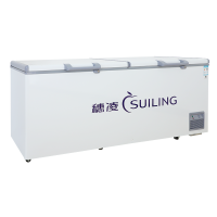 穗凌(SUILING)商用冰柜 一级能效省电 大容量卧式冷柜 冷藏冷冻可转换冰箱超市雪柜BD-725E