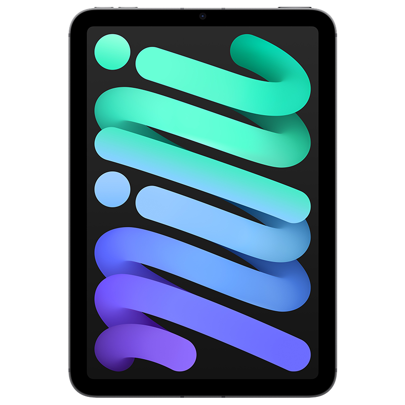 iPad mini(A17 Pro)WLAN+蜂窝 256GB 深空灰色 平板电脑