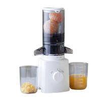 olayks原汁机小型汁渣分离全自动多功能榨汁机OLK-LJ01