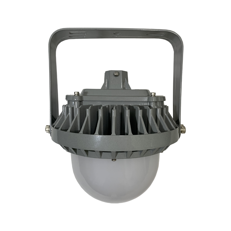 LHF2109 LED平台灯 30/50W 220V 冷光 IP65(计价单位:个)灰色