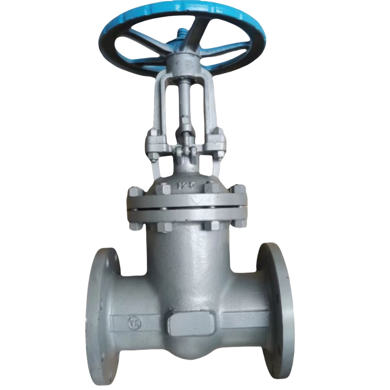 晟宏德 铸钢法兰闸阀 DN65 个