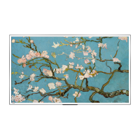 东芝艺术电视LA薄而不凡音画皆美