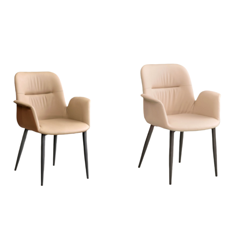 好风景家居设计经典简约易清洁材质优良CY025餐椅