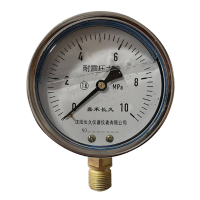 嘉禾长久/耐震压力表/YTN100/个
