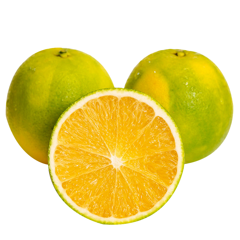 [西沛生鲜]正宗重庆脐橙 橙子 中果 带箱5斤 新鲜水果当季整箱纽荷尔脐橙