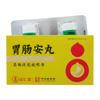 乐仁堂 胃肠安丸 0.02g*48丸/盒