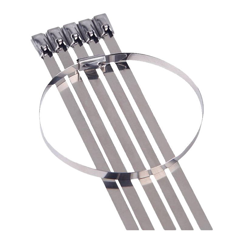 巧思唯 不锈钢扎带 10*400mm*100条 包