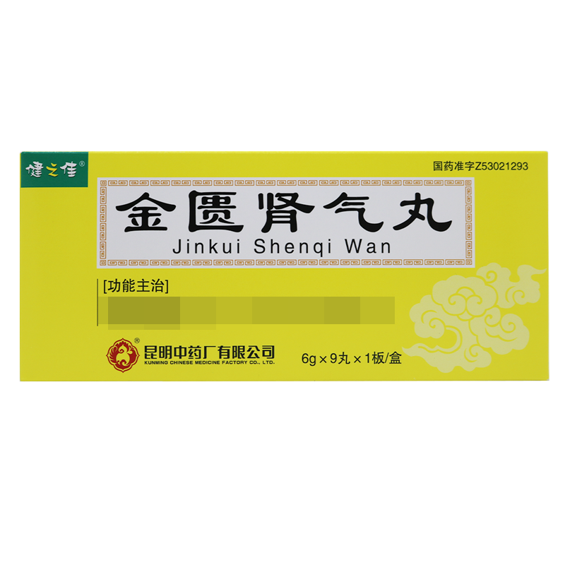 健之佳金匮肾气丸6g*9丸*1板/盒