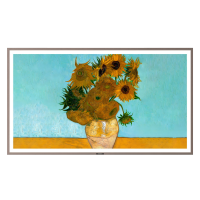 创维壁纸电视65A7E Pro 65英寸电视机 DeepSeek mini led 哑光屏显 主动护眼 政府补贴以旧换新