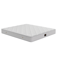 [CBD]SNZY-半岛Pro床垫 透气抑菌高回弹海绵整网弹簧护脊床垫 厚度21cm