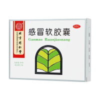 北京同仁堂感冒软胶囊20粒散风解热 用于外感风寒引起的头痛发热鼻塞流涕恶寒无汗骨节酸痛咽喉肿痛