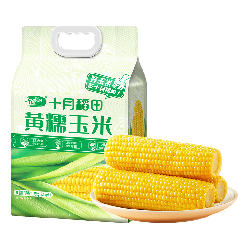 十月稻田鲜食黄糯玉米4.4斤(220g*10根) 整箱东北甜糯新鲜嫩玉米棒 低脂礼盒 早餐杂粮