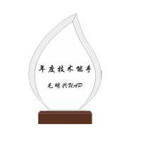 水晶奖杯内容:“年度技术能手,个人奖”