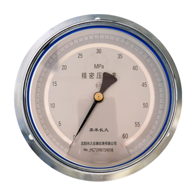 嘉禾长久+精密压力表轴向带边检测定制型+YB150ZT+0.25级+块