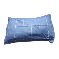名佳荟萃 枕套 ZT-03 48*74cm 个