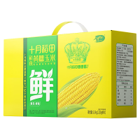十月稻田玉米鲜食黄糯玉米东北黏甜玉米2.2kg