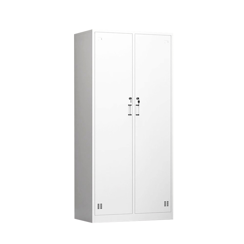 合祥源 HX-G06 二门更衣柜 900*420*1800mm (计价单位:组)