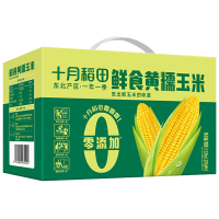 十月稻田玉米黄糯玉米零添加鲜食1.32kg