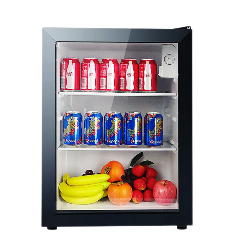 美菱 (MELING)立式家用冰吧 冷藏保鲜迷你展示柜 茶叶水果护肤品小型冰柜SC-79L