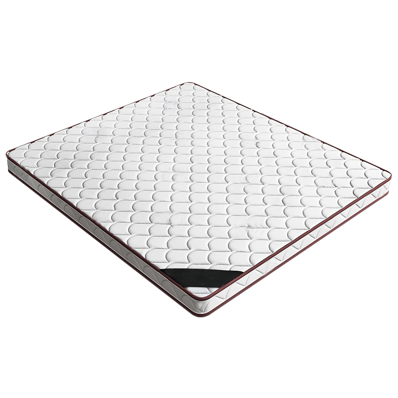 鹍翔椰棕单人床垫5CM/张