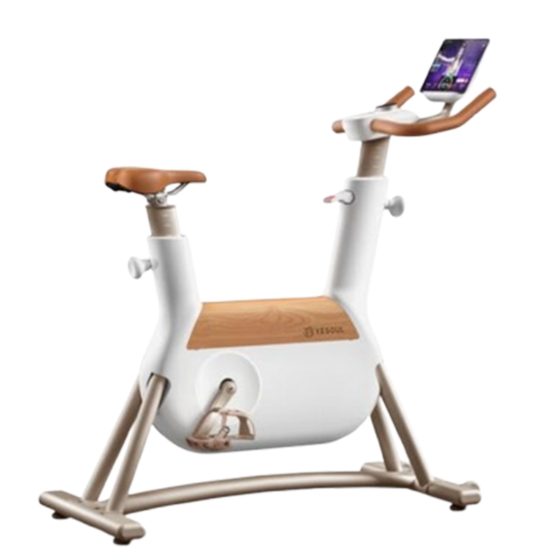 野小兽小木马动感单车自发电家用减肥室内自行车磁控运动锻炼R6