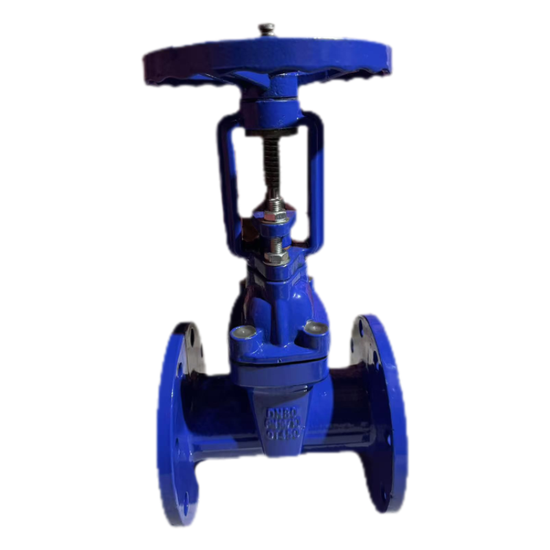 济俊 明杆软密封法兰消防闸阀 DN80 DN80