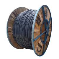 辉昂 护套软芯电缆 VVR 0.6/1kv -2*240平方