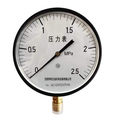 祥屹+压力表检测定制型+Y250+块