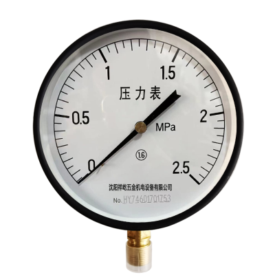 祥屹+压力表检测定制型+Y200+块