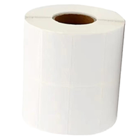 凯圣蓝 20*30mm/双排(1000张) 适用机型DTMP50(计价单位:卷)白色