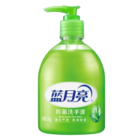 蓝月亮洗手液抑菌清洁泡沫丰富滋润保湿芦荟洗手液300g*1瓶
