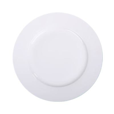 铁斯特 骨瓷餐具 平盘 浅盘 TST-G009(10寸)