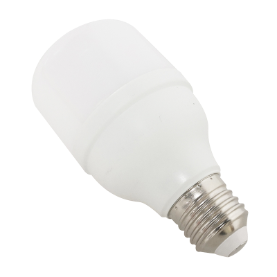 LED灯泡 10W 个