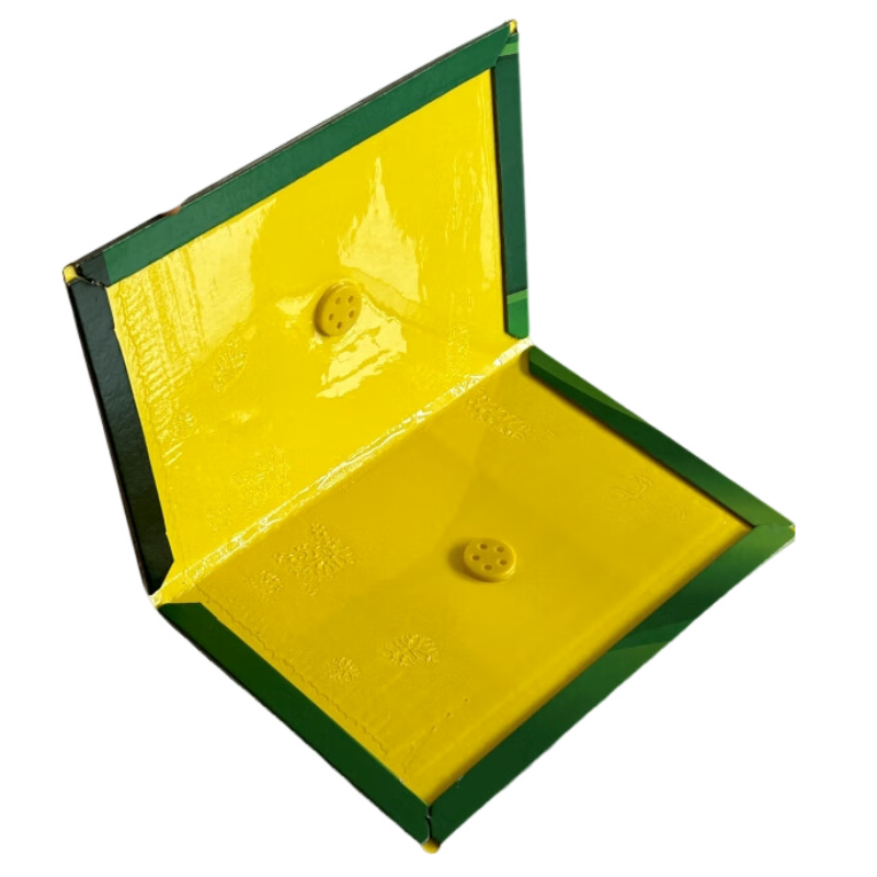 KAIH楷航 粘鼠板 超大号 张