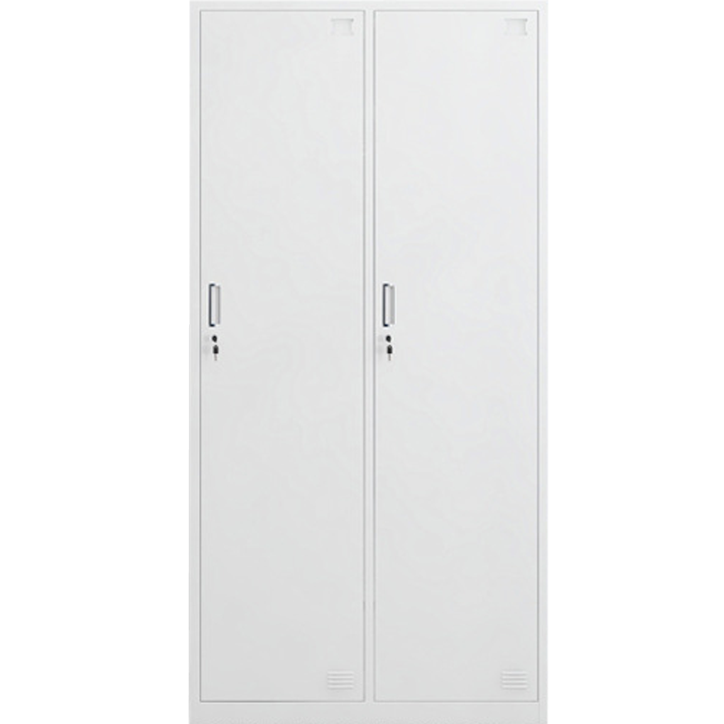 戴劲更衣柜员工宿舍储物柜多门鞋柜钢制换衣柜碗柜常规款 二门