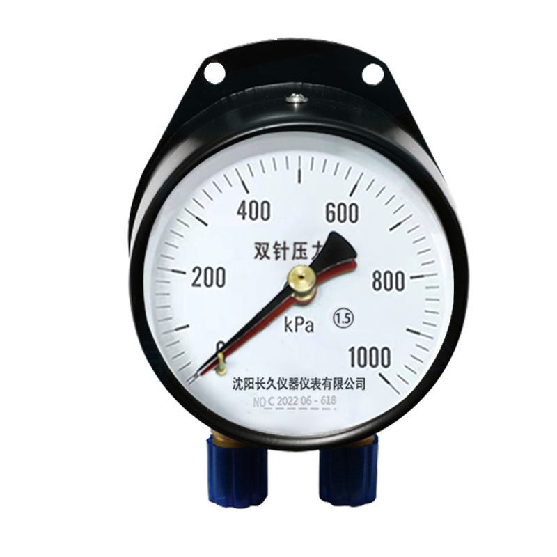 嘉禾长久/双针压力表/YZS100 1.5级/块