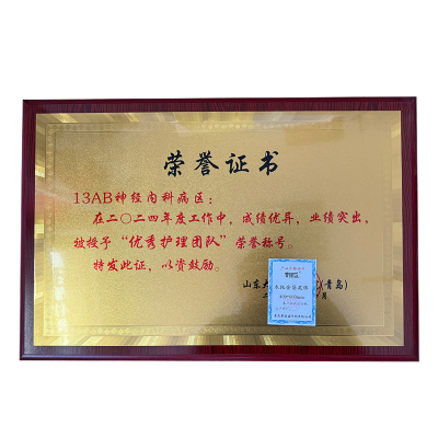 荣丽盛 木托金箔奖牌 标示标牌 400*600mm/块