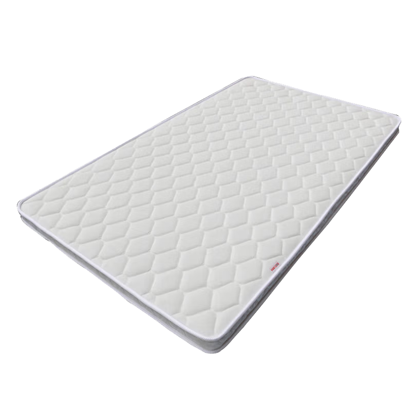 GS广圣 床垫环保棕垫宿舍公寓床垫 长200*宽120*高10cm 张