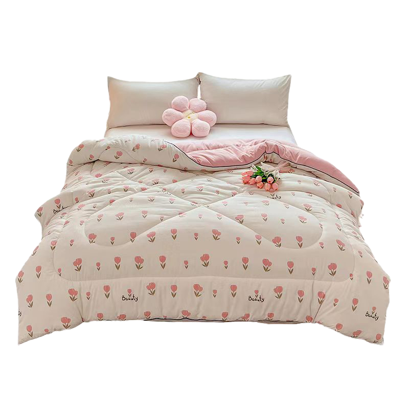 三水依梦柔肤春秋被200*230cm 条