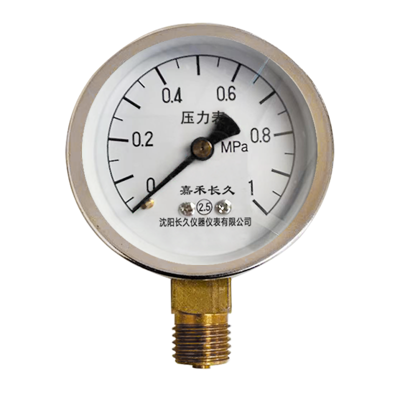 嘉禾长久+压力表检测定制型+Y40+块