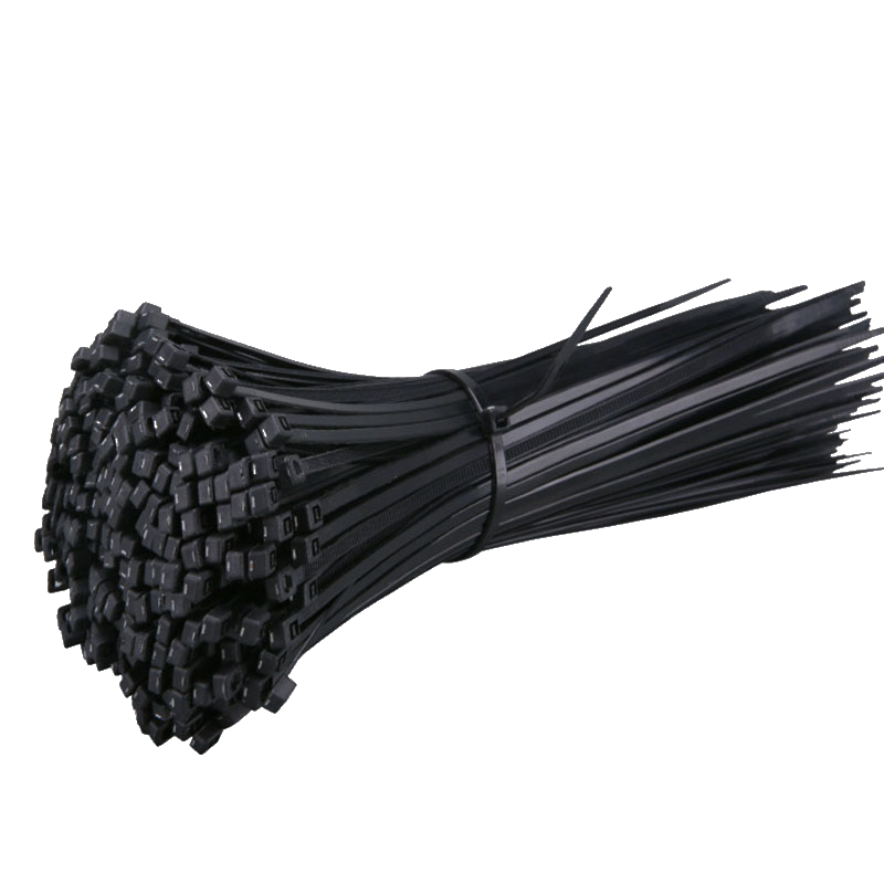 菲尔阿扎 PHIL ARZA 尼龙扎带 10*800mm/根