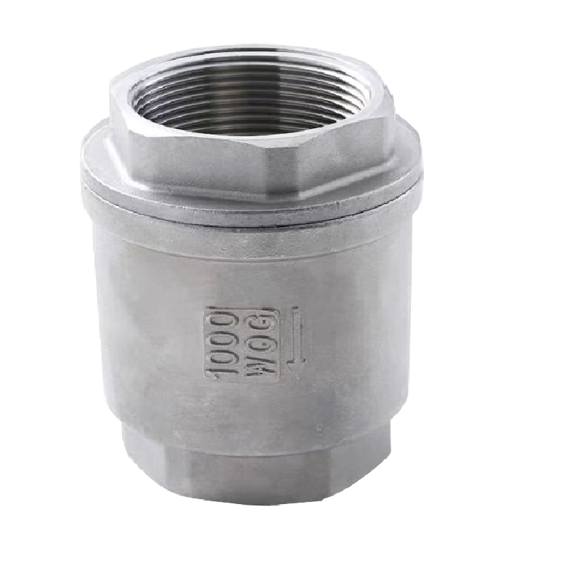 中锦科技 304不锈钢立式止回阀DN8 (2分)个