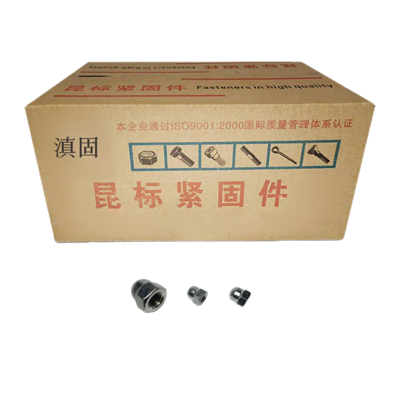 滇固 盖形螺母 M12 个