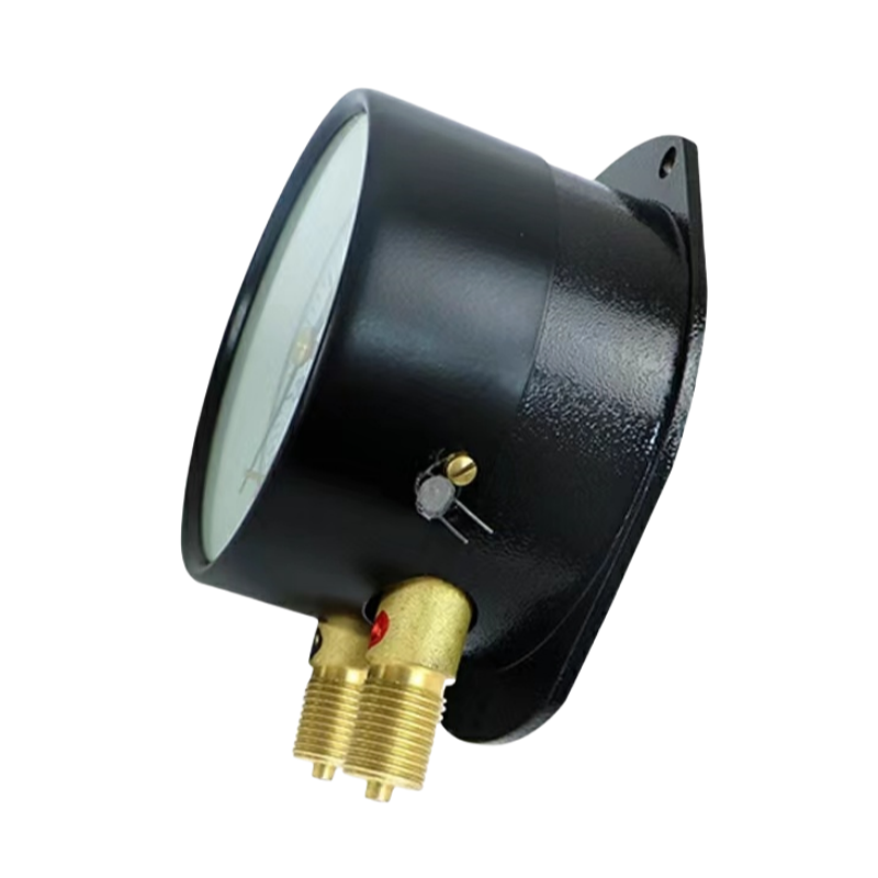 红旗 双针压力表定制检测款 Y100 1600KPA 块