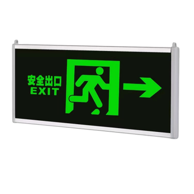 西瑞思免接电自发光消防应急指示牌(备注方向) XRS-DMP /块