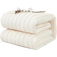 瑞易特 纯棉棉絮被芯 RYT-SCB1 床