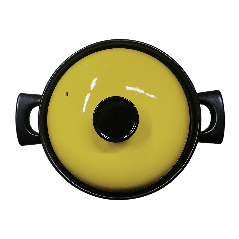 蔻达 CODA 御宴多功能干烧煲3L D2409 /套