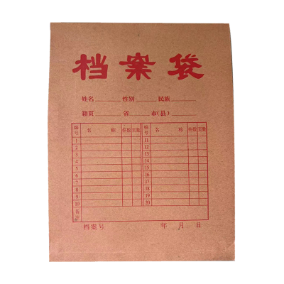 铁凇 档案袋 A4 个