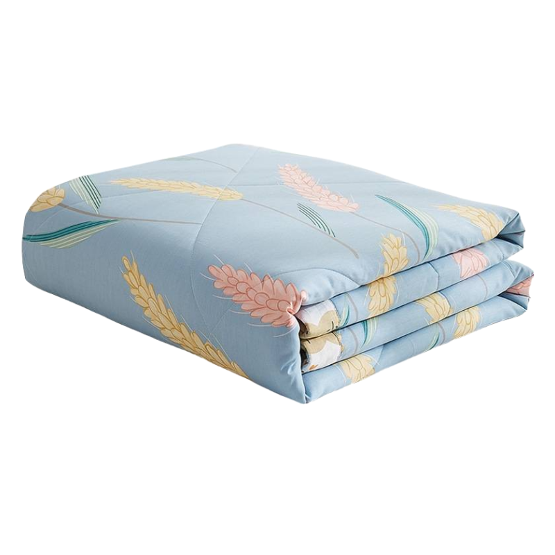 一卜棉花被A类新疆棉2斤/件