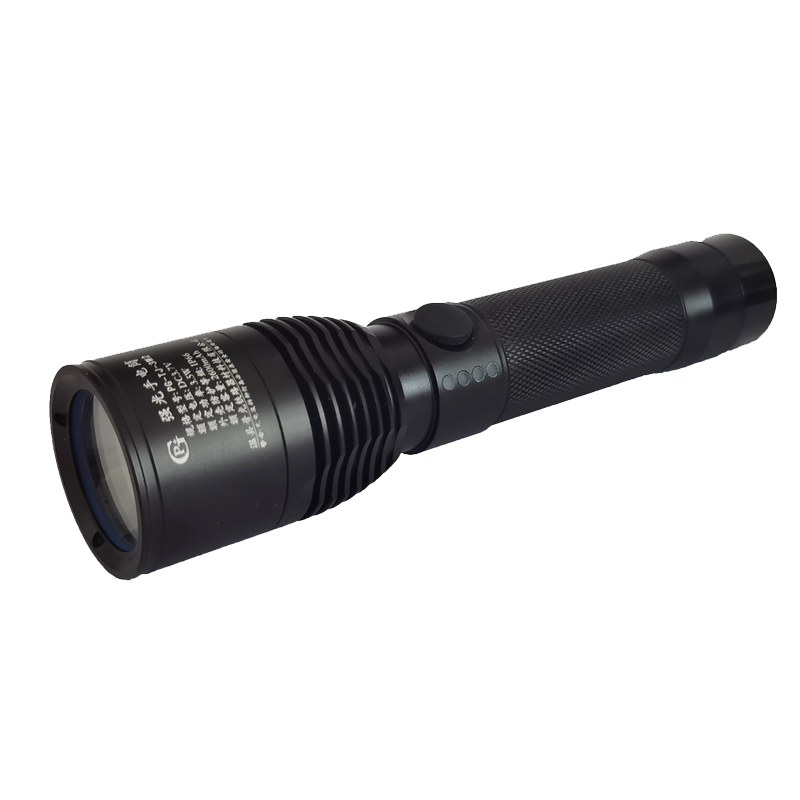 PG 强光手电筒 PG-TJ-3W /个